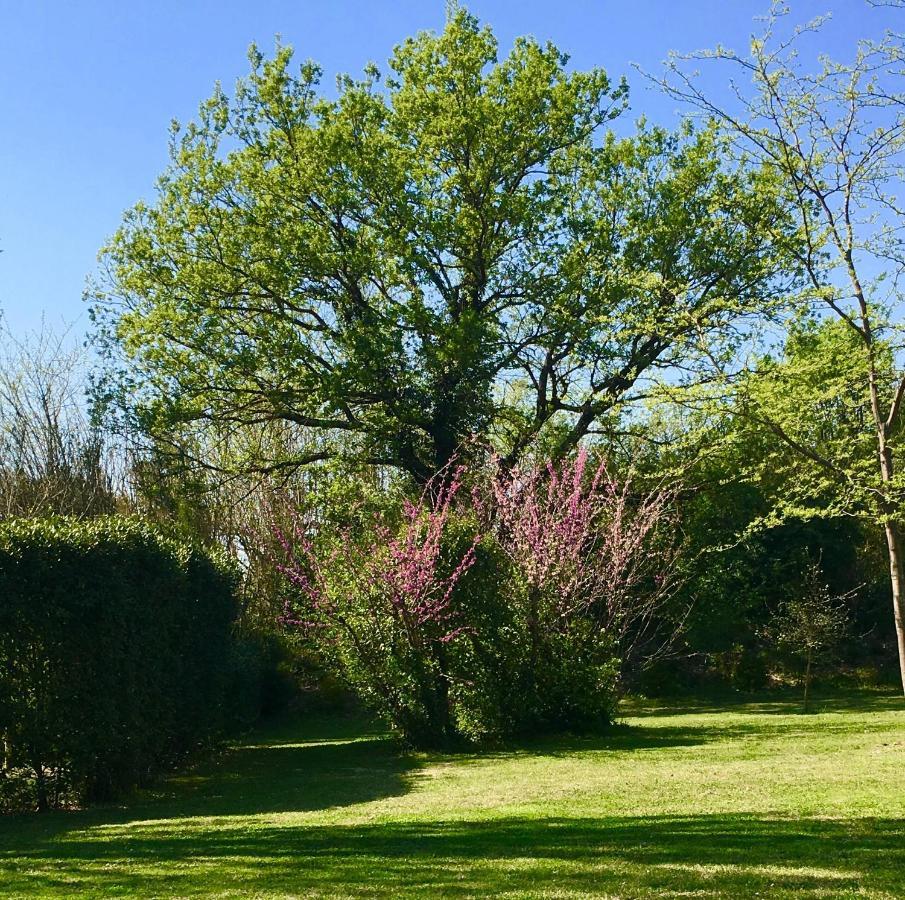 Campagne Baudeloup Bed & Breakfast L'Isle-sur-la-Sorgue Exterior photo